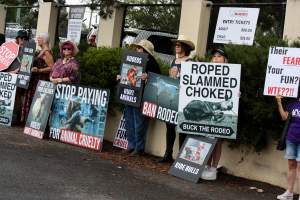 Protest outside of Queanbeyan Rodeo - Photos taken at a protest organised by Animal Liberation ACT and Animal Defenders Office outside of Queanbeyan Rodeo, where animals such as horse and cattle have been seen and recorded being chased, mistreated, and tormented. - Captured at NSW.