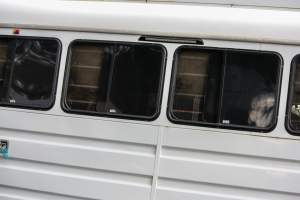 Trailer outside of Queanbeyan Rodeo - Photos taken at a protest organised by Animal Liberation ACT and Animal Defenders Office outside of Queanbeyan Rodeo, where animals such as horse and cattle have been seen and recorded being chased, mistreated, and tormented. - Captured at NSW.