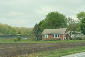 Pheasant Farm - This facility grows pheasants for 