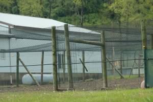 Pheasant Farm - This facility grows pheasants for 