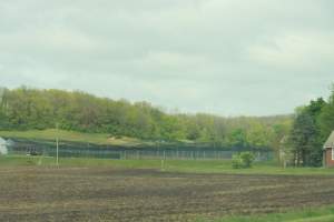 Pheasant Farm - This facility grows pheasants for 