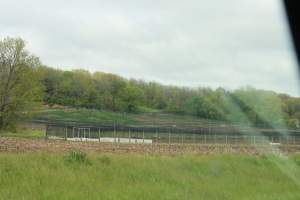 Pheasant Farm - This facility grows pheasants for 