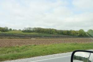 Pheasant Farm - This facility grows pheasants for 