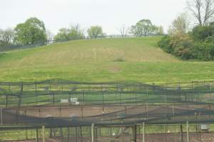 Pheasant Farm - This facility grows pheasants for 