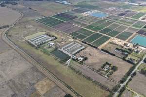 Drone Flyover - Captured at Broiler farm, Clyde VIC Australia.
