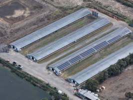 Drone Flyover - Captured at Broiler farm, Clyde VIC Australia.