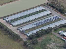 Drone Flyover - Captured at Broiler farm, Clyde VIC Australia.