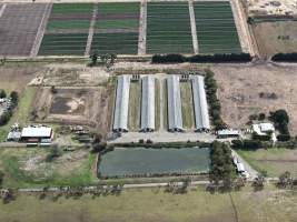 Drone Flyover - Captured at Broiler farm, Clyde VIC Australia.