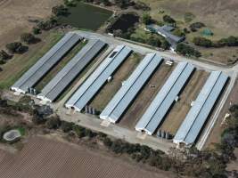 Drone Flyover - Captured at Unknown, Devon Meadows VIC Australia.