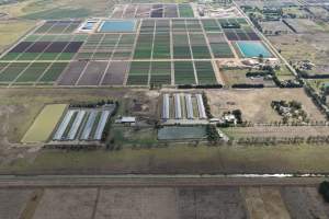 Drone Flyover - Captured at Broiler farm, Clyde VIC Australia.