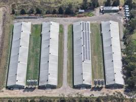 Drone Flyover - Captured at Broiler farm, Clyde VIC Australia.