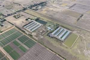 Drone Flyover - Captured at Broiler farm, Clyde VIC Australia.
