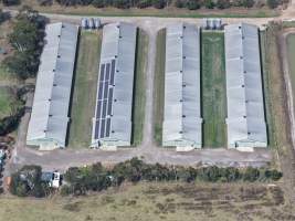 Drone Flyover - Captured at Broiler farm, Clyde VIC Australia.