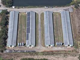 Drone Flyover - Captured at Broiler farm, Clyde VIC Australia.