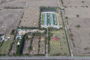 Drone Flyover - Captured at Unknown broiler farm, Dalmore VIC Australia.