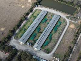 Drone Flyover - Captured at Unknown broiler farm, Dalmore VIC Australia.