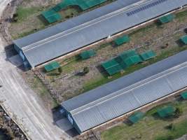 Drone Flyover - Captured at Unknown broiler farm, Dalmore VIC Australia.