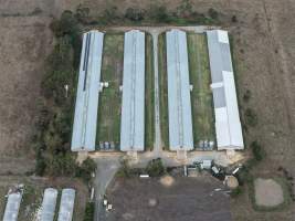 Drone Flyover - Captured at Tomic Poultry, Koo Wee Rup VIC Australia.