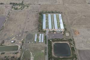 Drone Flyover - Captured at Tomic Poultry, Koo Wee Rup VIC Australia.