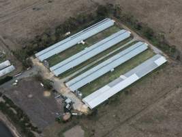 Drone Flyover - Captured at Tomic Poultry, Koo Wee Rup VIC Australia.