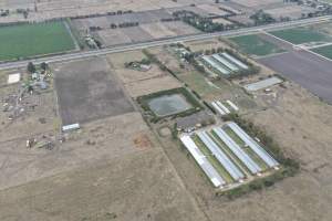 Drone Flyover - Captured at Tomic Poultry, Koo Wee Rup VIC Australia.