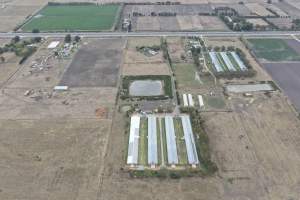 Drone Flyover - Captured at Tomic Poultry, Koo Wee Rup VIC Australia.