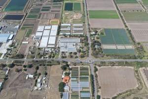 Drone Flyover - Captured at Turosi Fiveways Hatchery, Devon Meadows VIC Australia.