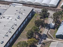 Drone Flyover - Captured at Turosi Fiveways Hatchery, Devon Meadows VIC Australia.