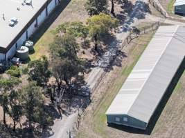 Drone Flyover - Captured at Turosi Fiveways Hatchery, Devon Meadows VIC Australia.