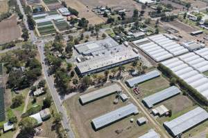 Drone Flyover - Captured at Turosi Fiveways Hatchery, Devon Meadows VIC Australia.
