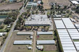 Drone Flyover - Captured at Turosi Fiveways Hatchery, Devon Meadows VIC Australia.