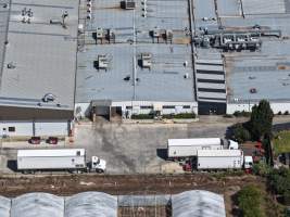 Drone Flyover - Captured at Turosi Fiveways Hatchery, Devon Meadows VIC Australia.