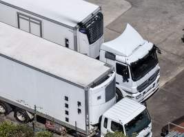 Drone Flyover - Captured at Turosi Fiveways Hatchery, Devon Meadows VIC Australia.