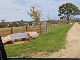 Signage - Captured at Ballywarra Farms, Modella VIC Australia.