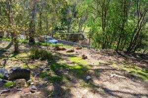 Capybaras and Maras - Captured at Gorge Wildlife Park, Cudlee Creek SA Australia.