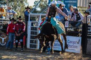 Bucking Bulls Australia Event - Bucking Bulls Australia event, run by Yass Rodeo. Activities such as Bull Riding and Trick Horse Riding occurred during this event. - Captured at Yass Show Society - Rodeo Arena, Yass NSW Australia.