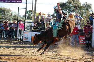 Bucking Bulls Australia Event - Bucking Bulls Australia event, run by Yass Rodeo. Activities such as Bull Riding and Trick Horse Riding occurred during this event. - Captured at Yass Show Society - Rodeo Arena, Yass NSW Australia.