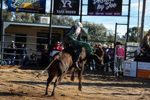 Bucking Bulls Australia Event - Bucking Bulls Australia event, run by Yass Rodeo. Activities such as Bull Riding and Trick Horse Riding occurred during this event. - Captured at Yass Show Society - Rodeo Arena, Yass NSW Australia.