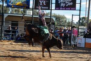 Bucking Bulls Australia Event - Bucking Bulls Australia event, run by Yass Rodeo. Activities such as Bull Riding and Trick Horse Riding occurred during this event. - Captured at Yass Show Society - Rodeo Arena, Yass NSW Australia.