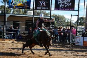 Bucking Bulls Australia Event - Bucking Bulls Australia event, run by Yass Rodeo. Activities such as Bull Riding and Trick Horse Riding occurred during this event. - Captured at Yass Show Society - Rodeo Arena, Yass NSW Australia.