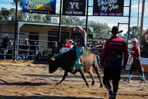 Bucking Bulls Australia Event - Bucking Bulls Australia event, run by Yass Rodeo. Activities such as Bull Riding and Trick Horse Riding occurred during this event. - Captured at Yass Show Society - Rodeo Arena, Yass NSW Australia.