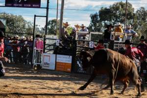 Bucking Bulls Australia Event - Bucking Bulls Australia event, run by Yass Rodeo. Activities such as Bull Riding and Trick Horse Riding occurred during this event. - Captured at Yass Show Society - Rodeo Arena, Yass NSW Australia.