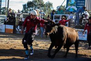 Bucking Bulls Australia Event - Bucking Bulls Australia event, run by Yass Rodeo. Activities such as Bull Riding and Trick Horse Riding occurred during this event. - Captured at Yass Show Society - Rodeo Arena, Yass NSW Australia.