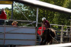 Bucking Bulls Australia Event - Bucking Bulls Australia event, run by Yass Rodeo. Activities such as Bull Riding and Trick Horse Riding occurred during this event. - Captured at Yass Show Society - Rodeo Arena, Yass NSW Australia.