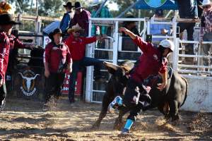 Bucking Bulls Australia Event - Bucking Bulls Australia event, run by Yass Rodeo. Activities such as Bull Riding and Trick Horse Riding occurred during this event. - Captured at Yass Show Society - Rodeo Arena, Yass NSW Australia.