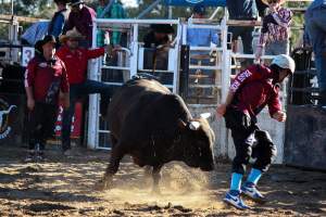 Bucking Bulls Australia Event - Bucking Bulls Australia event, run by Yass Rodeo. Activities such as Bull Riding and Trick Horse Riding occurred during this event. - Captured at Yass Show Society - Rodeo Arena, Yass NSW Australia.