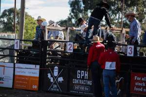 Bucking Bulls Australia Event - Bucking Bulls Australia event, run by Yass Rodeo. Activities such as Bull Riding and Trick Horse Riding occurred during this event. - Captured at Yass Show Society - Rodeo Arena, Yass NSW Australia.