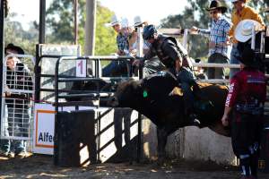 Bucking Bulls Australia Event - Bucking Bulls Australia event, run by Yass Rodeo. Activities such as Bull Riding and Trick Horse Riding occurred during this event. - Captured at Yass Show Society - Rodeo Arena, Yass NSW Australia.