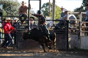 Bucking Bulls Australia Event - Bucking Bulls Australia event, run by Yass Rodeo. Activities such as Bull Riding and Trick Horse Riding occurred during this event. - Captured at Yass Show Society - Rodeo Arena, Yass NSW Australia.