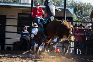 Bucking Bulls Australia Event - Bucking Bulls Australia event, run by Yass Rodeo. Activities such as Bull Riding and Trick Horse Riding occurred during this event. - Captured at Yass Show Society - Rodeo Arena, Yass NSW Australia.